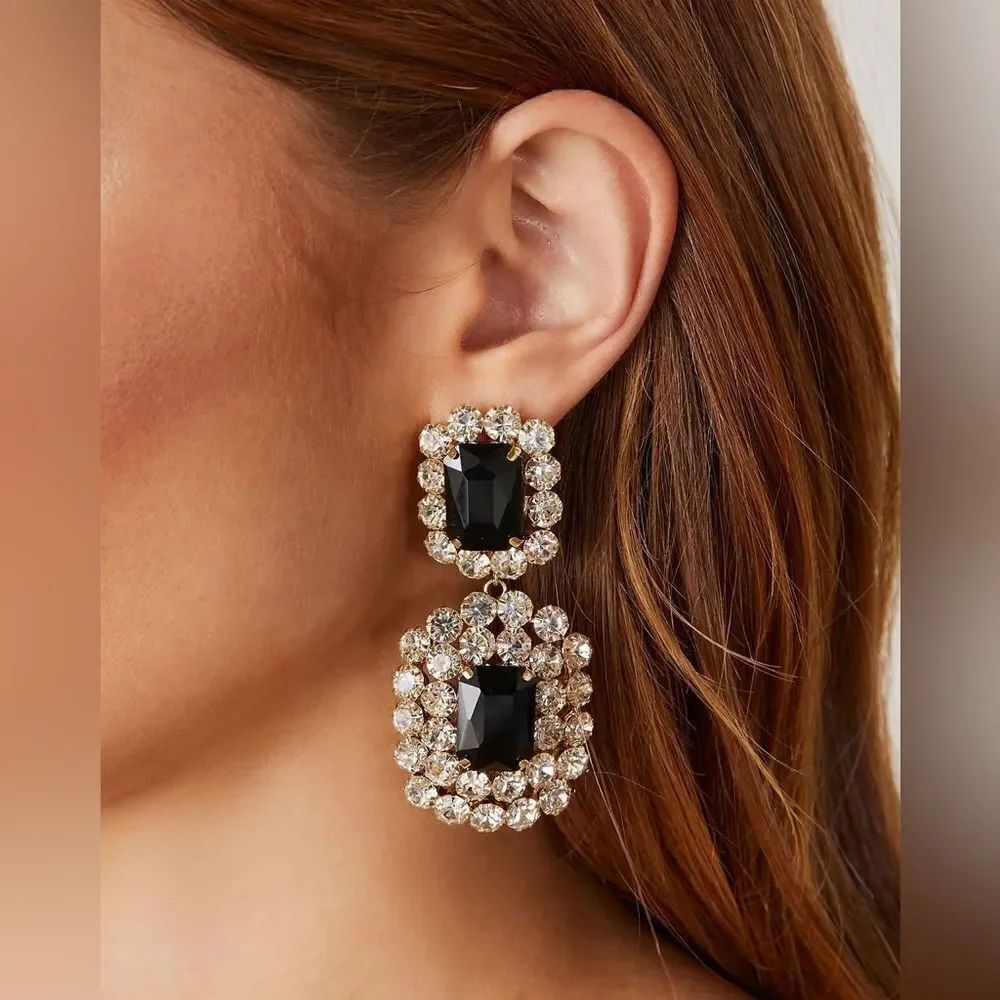 Elegant Black and silver Earrings A1116